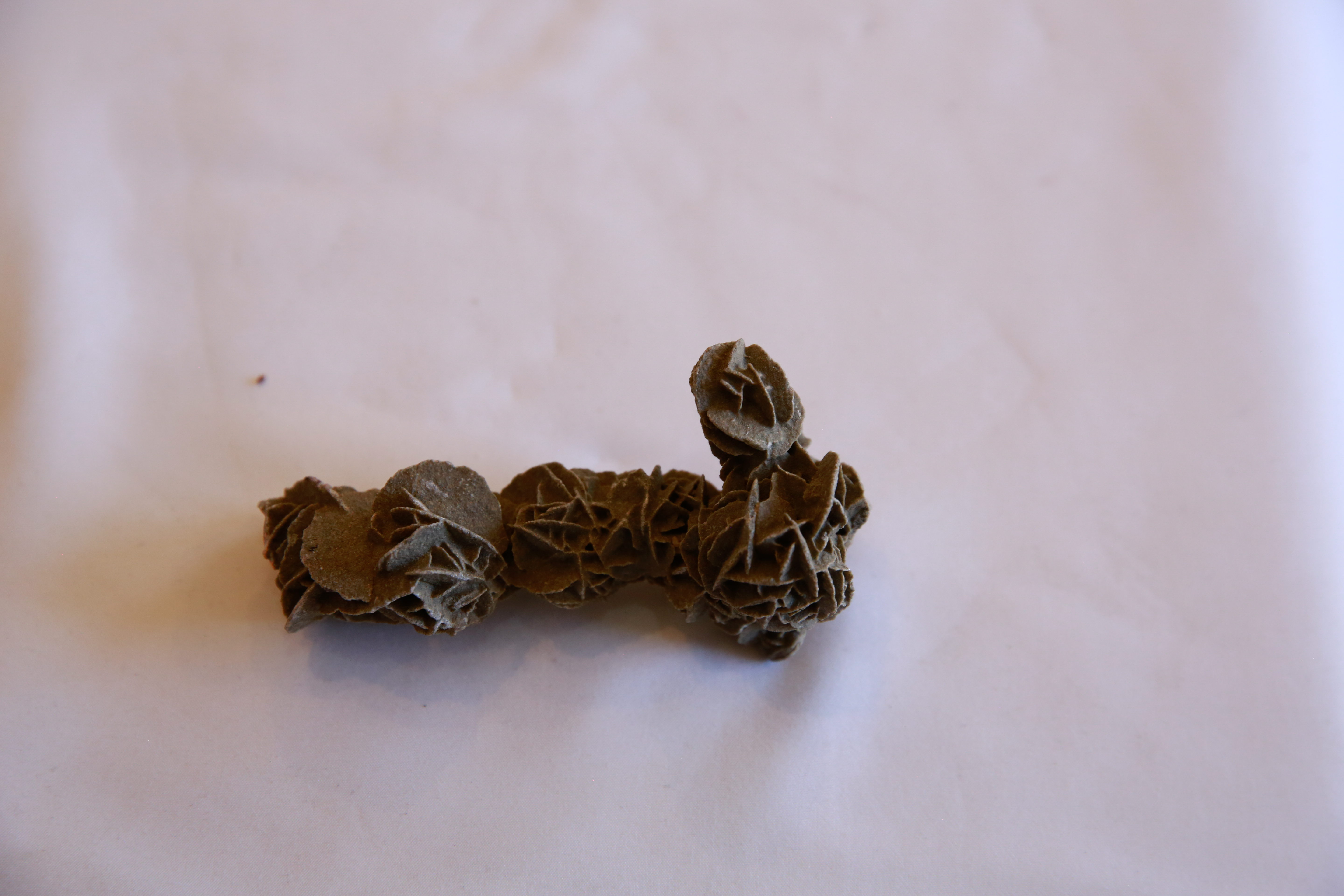 Desert Rose Stone