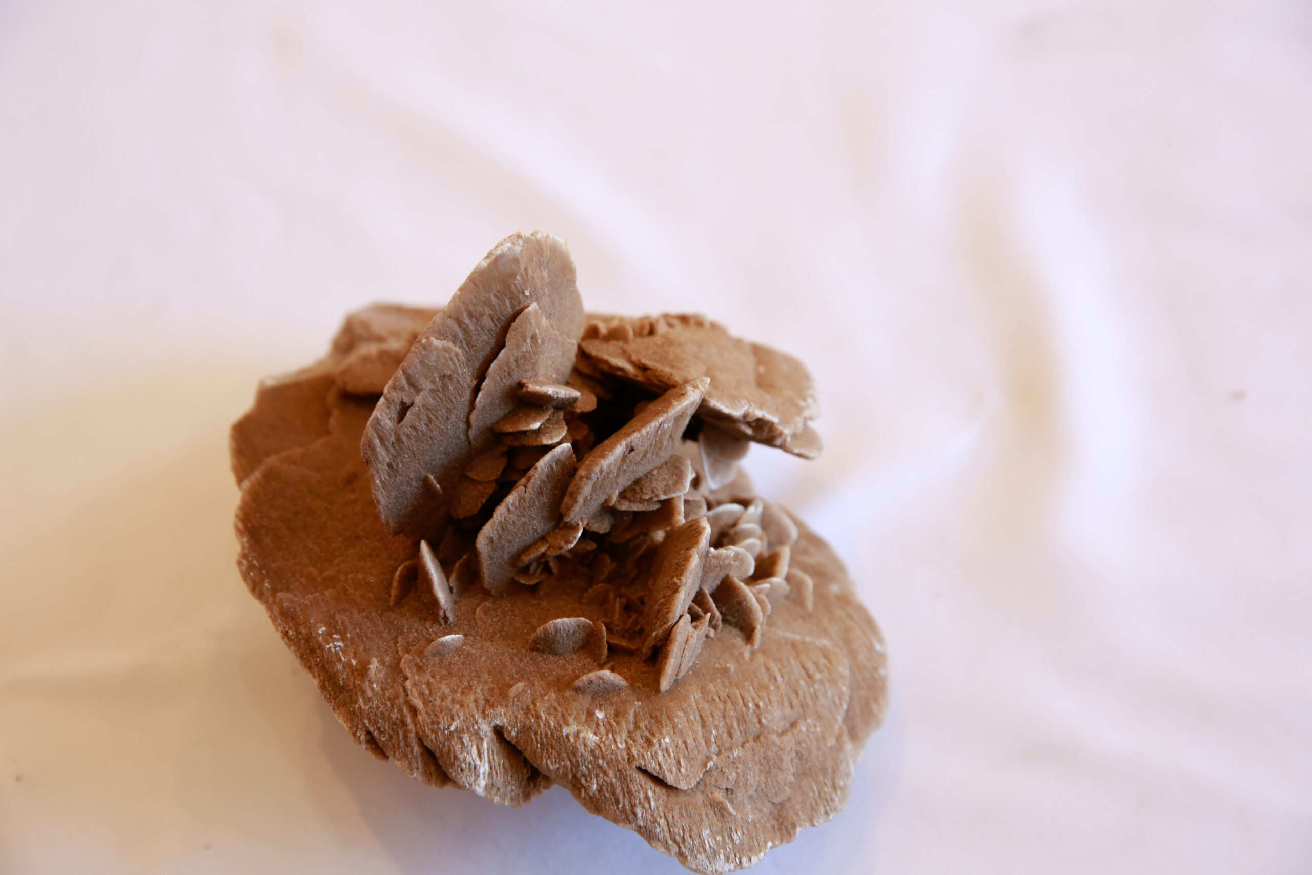 Desert Rose Stone