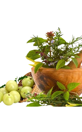Slide_Background_-_Ayurvedic_Herbal_PNG_Transparent_With_Clear_Background_ID_180728___TopPNG-removebg-preview 1